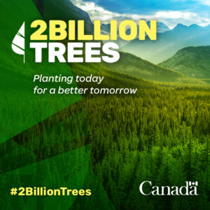 2 billion